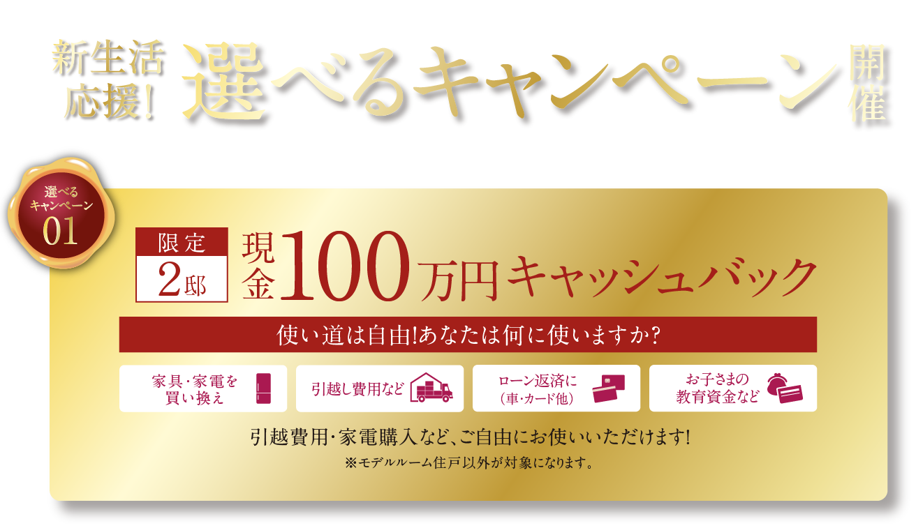 100万円相当の家具・インテリア付き特別分譲