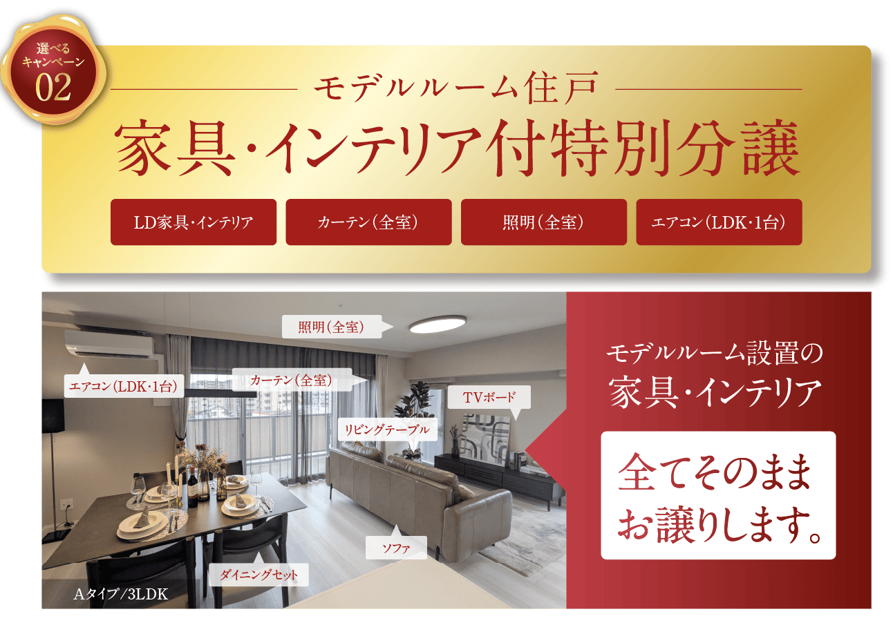 100万円相当の家具・インテリア付き特別分譲