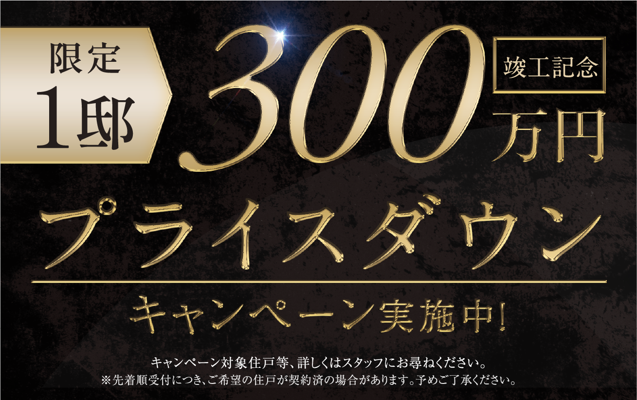 300万円プライスダウンキャンペーン