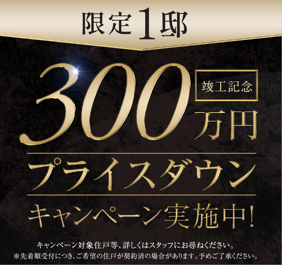 300万円プライスダウンキャンペーン