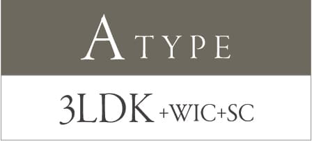 type A