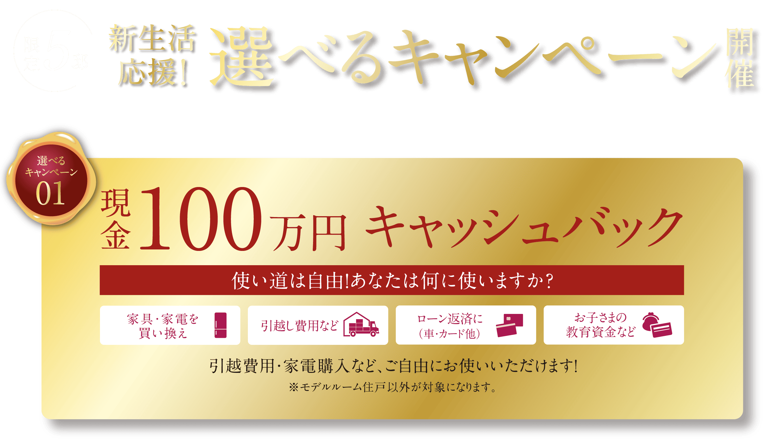 100万円相当の家具・インテリア付き特別分譲