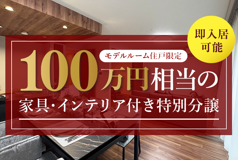 家具・インテリア付き特別分譲