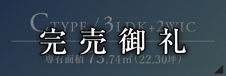 Cタイプ