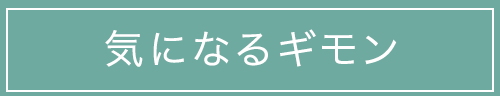 気になるギモン