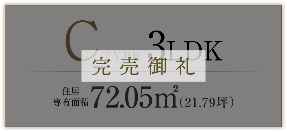 C TYPE