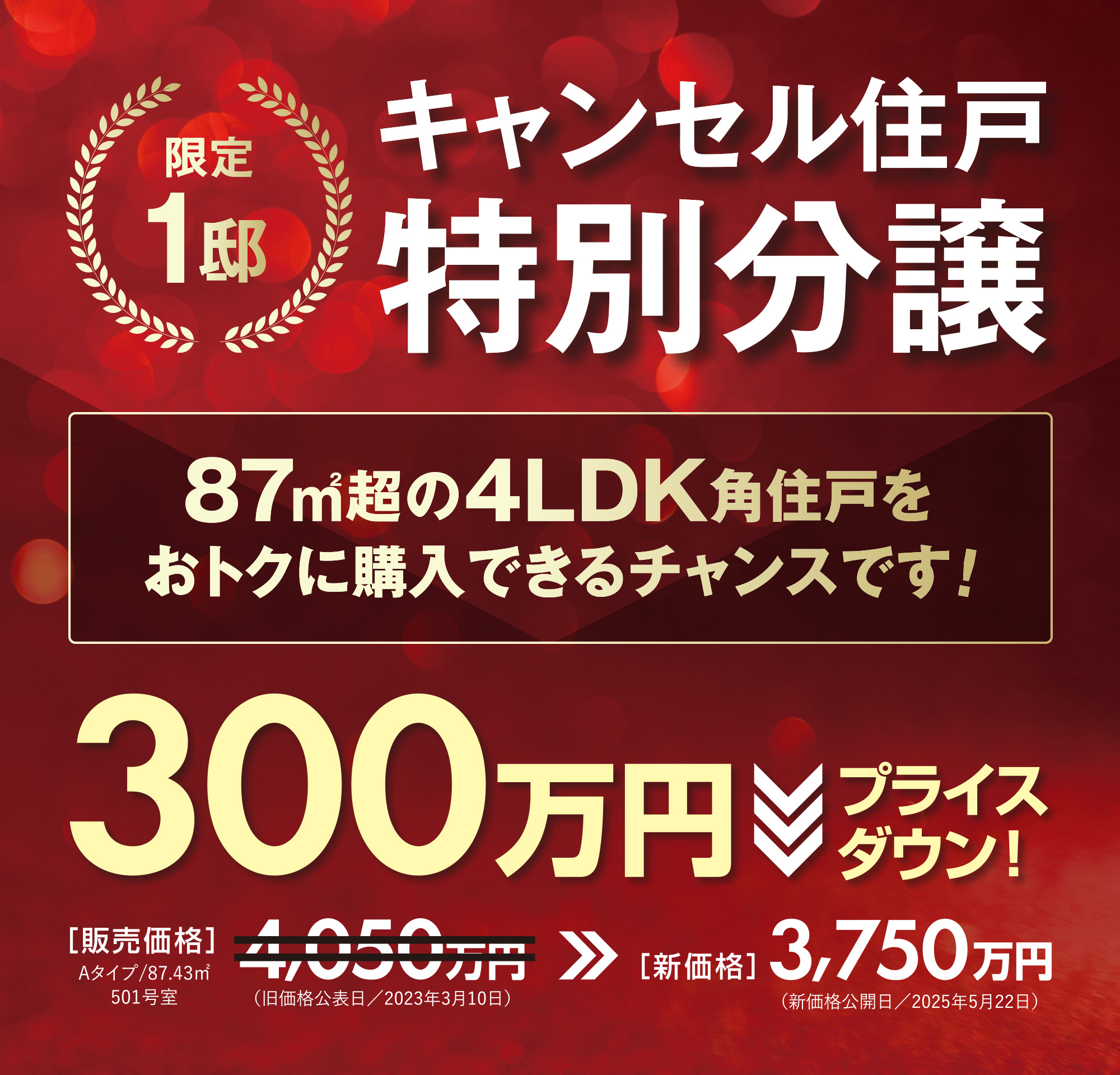 キャンセル住戸特別分譲 300万円プライスダウン！