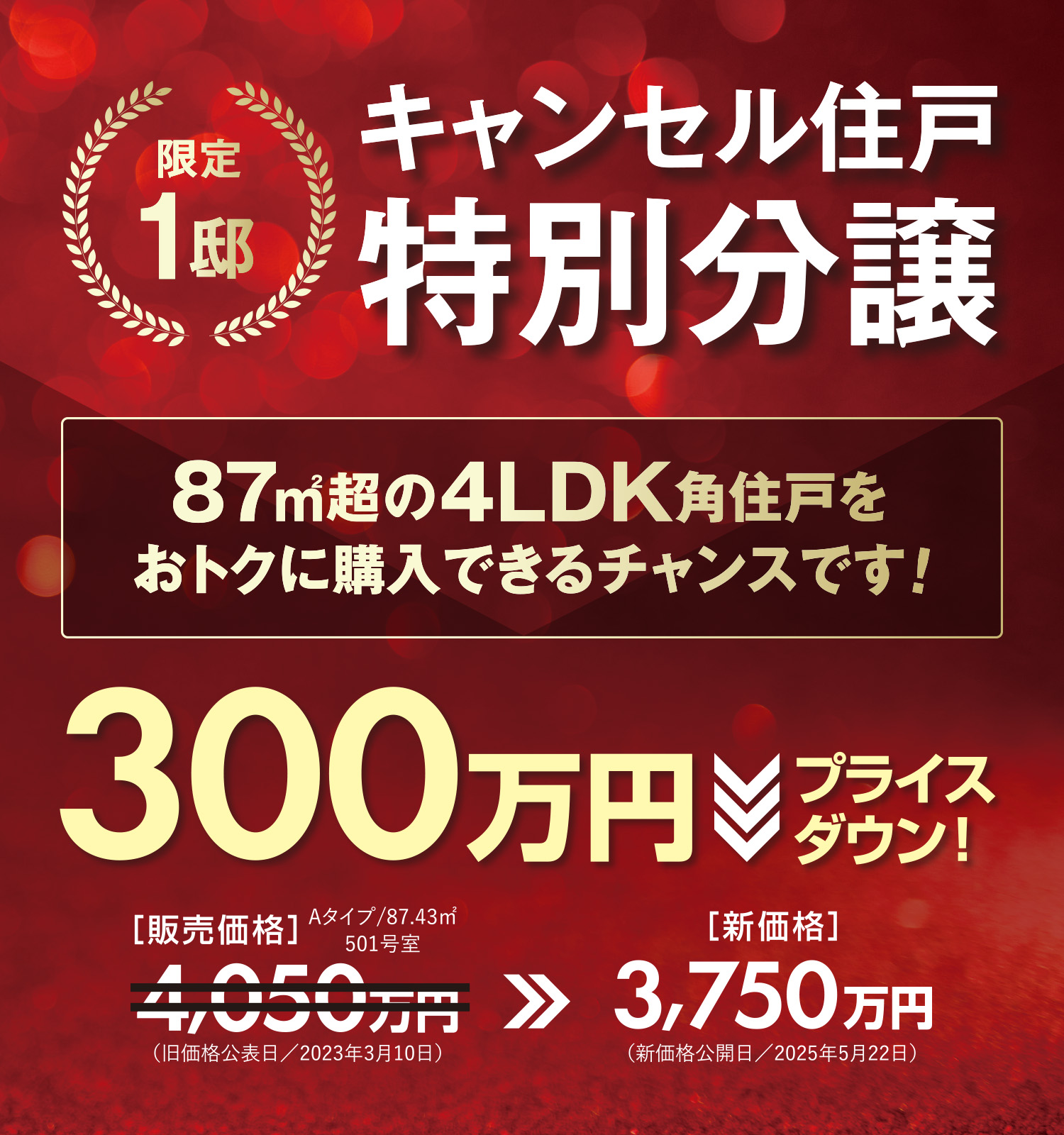 キャンセル住戸特別分譲 300万円プライスダウン！